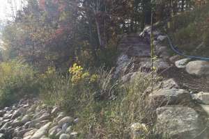Photo-Oct-09-3-54-53-PM